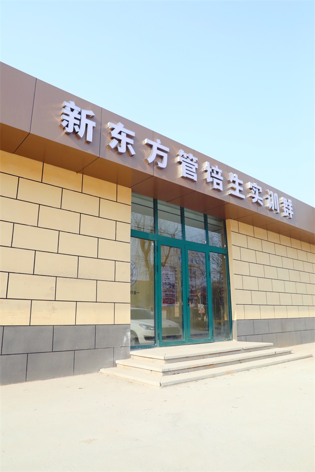 山東新東方校園一角