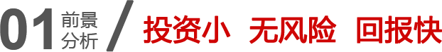 ͶYС  LUС  ؈
